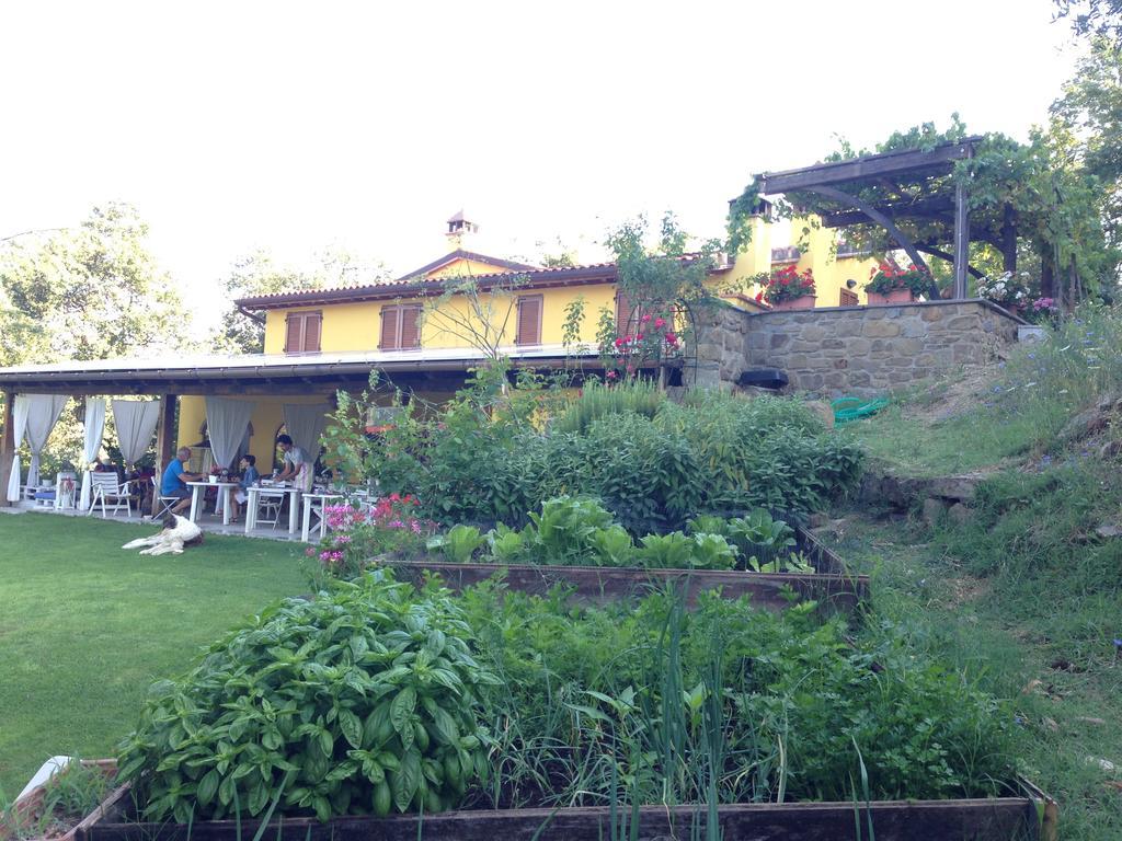 Agriturismo Borgo Nuovo Di Mulinelli Arezzo Exterior foto